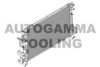 AUTOGAMMA 105938 Radiator, engine cooling